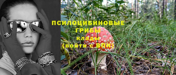 mix Богородск